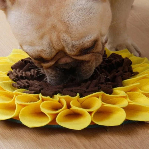 Snuffle Mat for Dogs - Interactive Treat Dispenser & Puzzle Toy – HOMIZONE