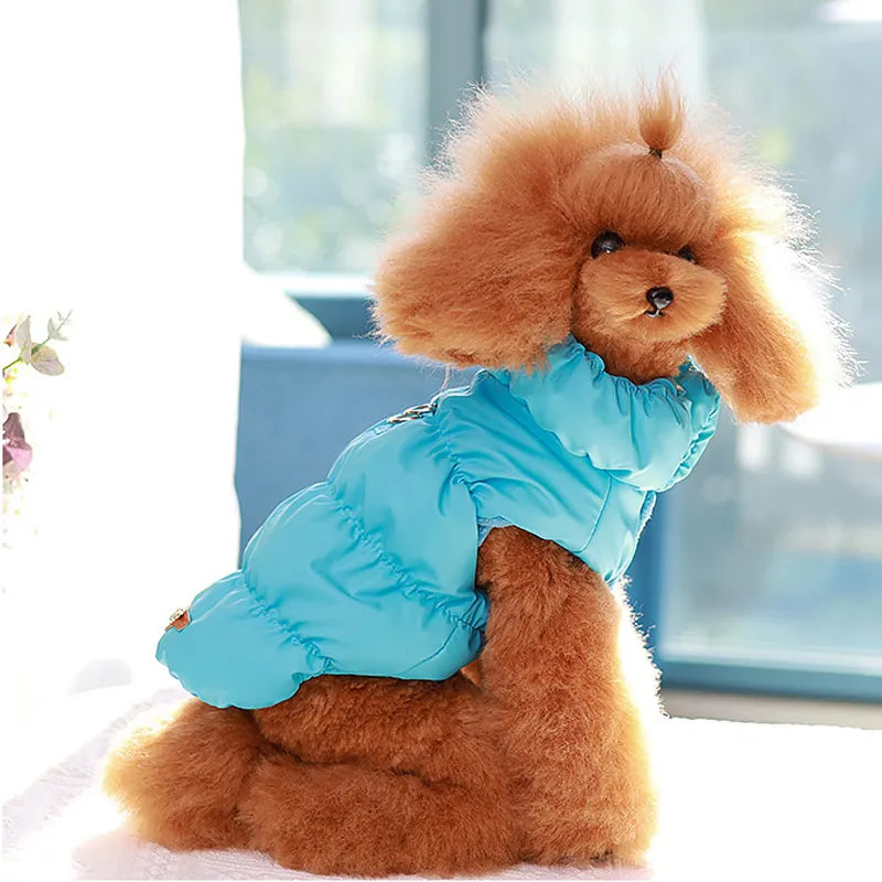 Toy poodle clothes sale