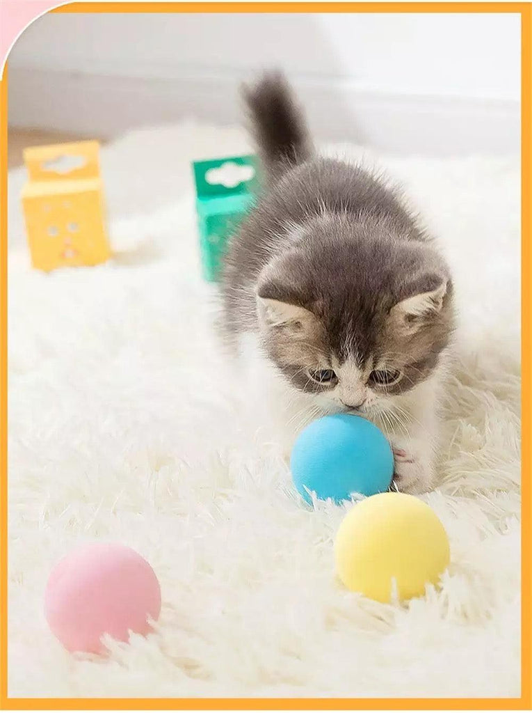 Magic ball for store cats