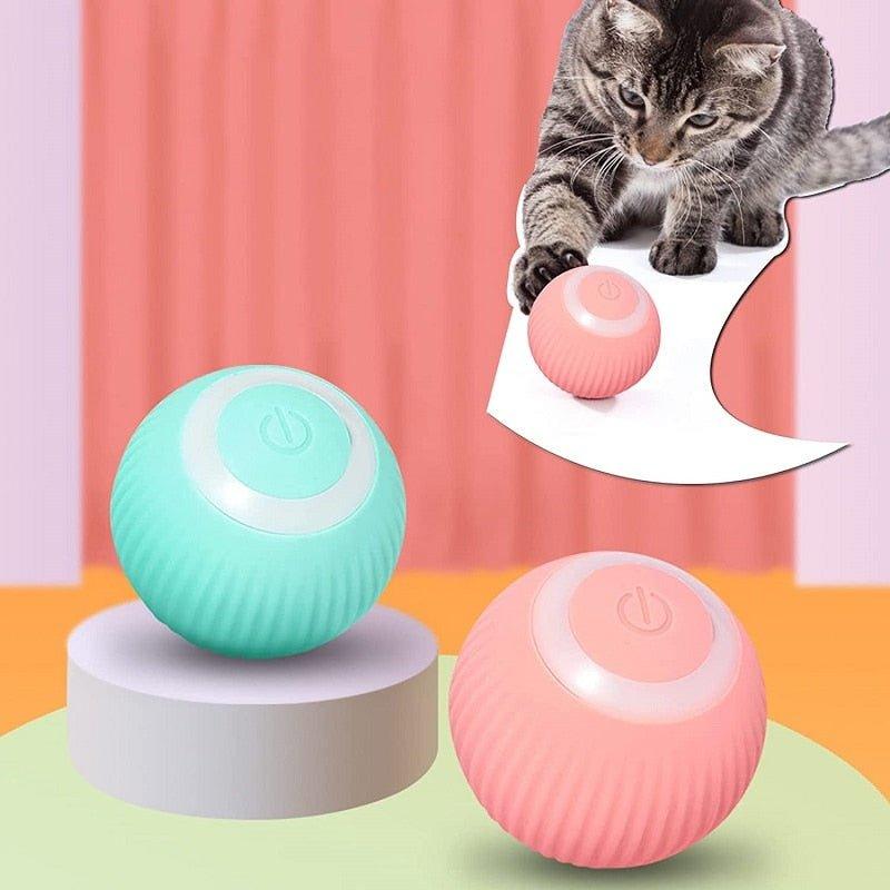 Magic ball hot sale cat toy